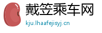 戴笠乘车网